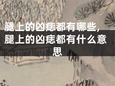 腿上的凶痣都有哪些,腿上的凶痣都有什么意思