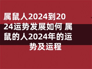 属鼠人2024到2024运势发展如何 属鼠的人2024年的运势及运程