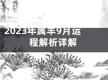 2023年属羊9月运程解析详解