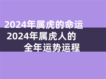 2024年属虎的命运 2024年属虎人的全年运势运程