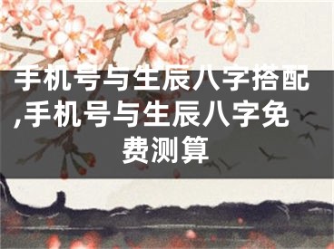 手机号与生辰八字搭配,手机号与生辰八字免费测算