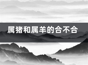属猪和属羊的合不合
