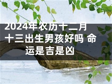 2024年农历十二月十三出生男孩好吗 命运是吉是凶 