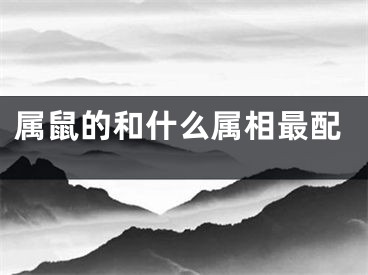 属鼠的和什么属相最配