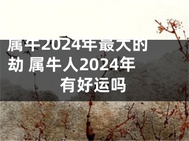 属牛2024年最大的劫 属牛人2024年有好运吗
