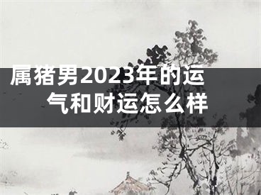属猪男2023年的运气和财运怎么样