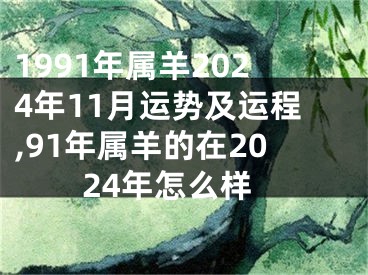 1991年属羊2024年11月运势及运程,91年属羊的在2024年怎么样