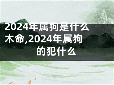 2024年属狗是什么木命,2024年属狗的犯什么