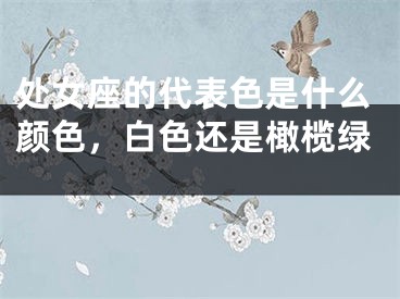 处女座的代表色是什么颜色，白色还是橄榄绿 