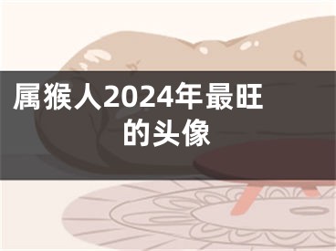 属猴人2024年最旺的头像