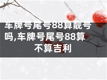 车牌号尾号88算靓号吗,车牌号尾号88算不算吉利