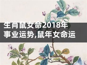 生肖鼠女命2018年事业运势,鼠年女命运