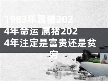 1983年属猪2024年命运 属猪2024年注定是富贵还是贫穷