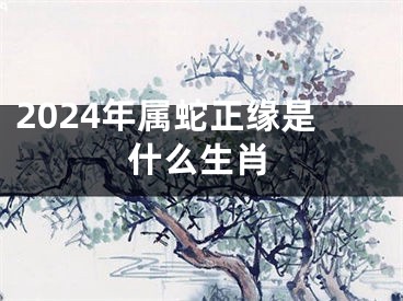 2024年属蛇正缘是什么生肖