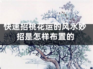 快速招桃花运的风水妙招是怎样布置的
