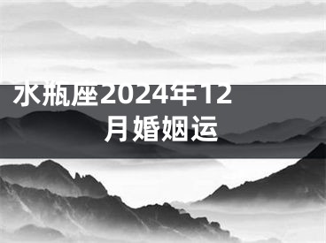 水瓶座2024年12月婚姻运