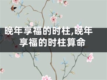 晚年享福的时柱,晚年享福的时柱算命