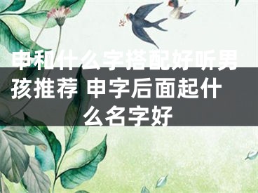 申和什么字搭配好听男孩推荐 申字后面起什么名字好