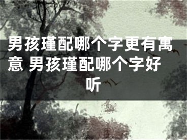 男孩瑾配哪个字更有寓意 男孩瑾配哪个字好听
