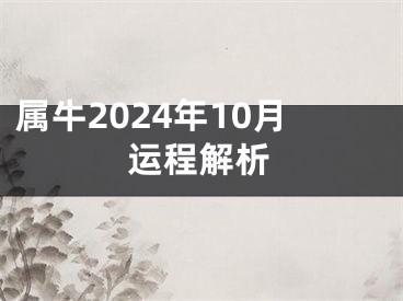 属牛2024年10月运程解析