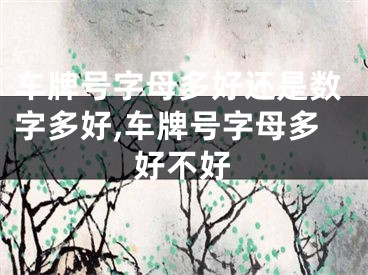 车牌号字母多好还是数字多好,车牌号字母多好不好