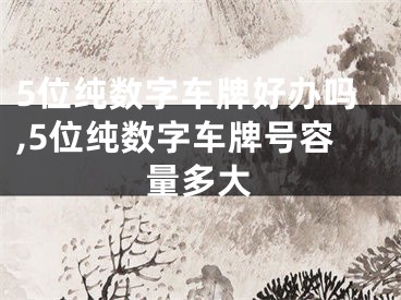 5位纯数字车牌好办吗,5位纯数字车牌号容量多大