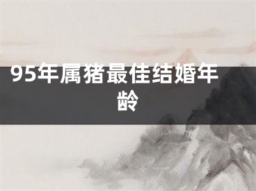 95年属猪最佳结婚年龄