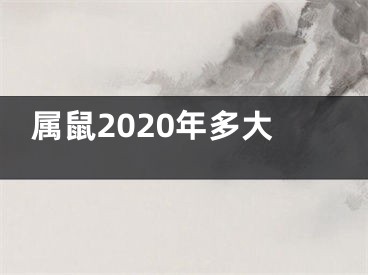 属鼠2020年多大