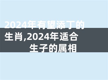 2024年有望添丁的生肖,2024年适合生子的属相