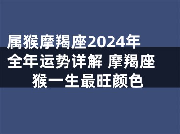 属猴摩羯座2024年全年运势详解 摩羯座猴一生最旺颜色