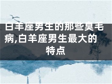 白羊座男生的那些臭毛病,白羊座男生最大的特点