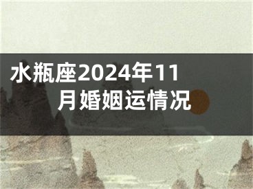 水瓶座2024年11月婚姻运情况