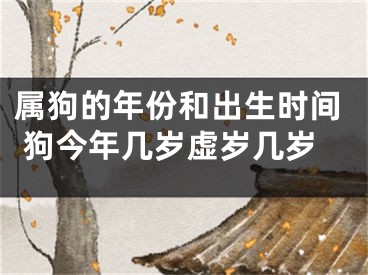 属狗的年份和出生时间 狗今年几岁虚岁几岁