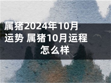 属猪2024年10月运势 属猪10月运程怎么样