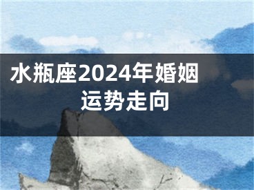 水瓶座2024年婚姻运势走向