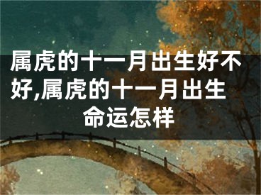属虎的十一月出生好不好,属虎的十一月出生命运怎样