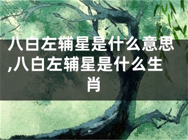 八白左辅星是什么意思,八白左辅星是什么生肖
