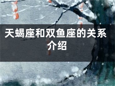 天蝎座和双鱼座的关系介绍