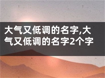 大气又低调的名字,大气又低调的名字2个字