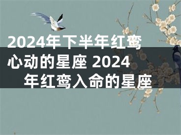 2024年下半年红鸾心动的星座 2024年红鸾入命的星座
