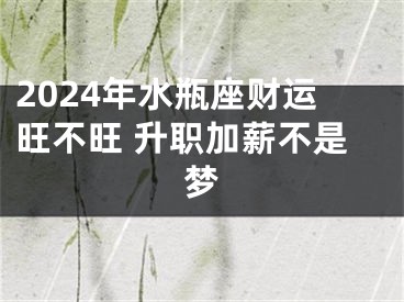 2024年水瓶座财运旺不旺 升职加薪不是梦