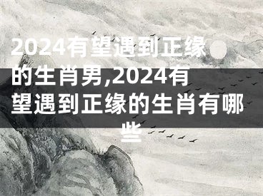 2024有望遇到正缘的生肖男,2024有望遇到正缘的生肖有哪些