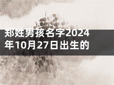 郑姓男孩名字2024年10月27日出生的