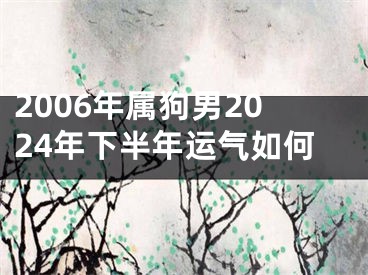 2006年属狗男2024年下半年运气如何