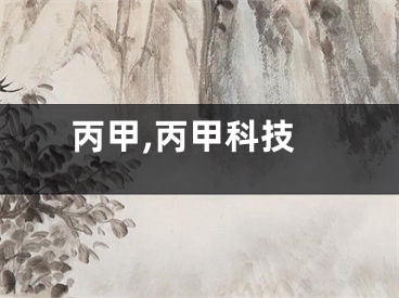 丙甲,丙甲科技