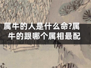 属牛的人是什么命?属牛的跟哪个属相最配