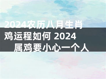 2024农历八月生肖鸡运程如何 2024属鸡要小心一个人