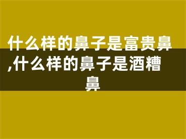 什么样的鼻子是富贵鼻,什么样的鼻子是酒糟鼻