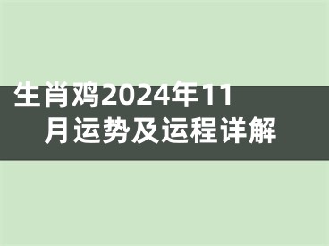 生肖鸡2024年11月运势及运程详解