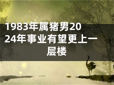 1983年属猪男2024年事业有望更上一层楼